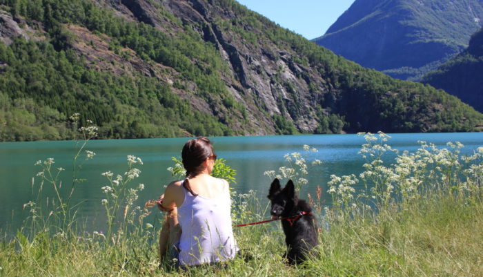 ciekawostki o Norwegii Skjolden