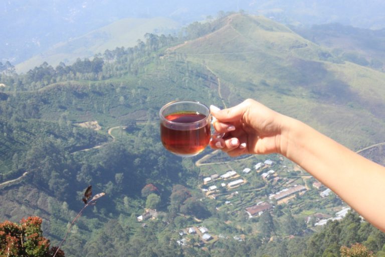 Zielona herbata Sri Lanka